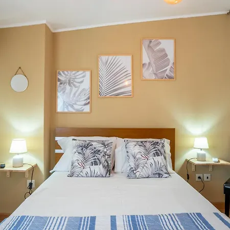 Armando Monteiro Apartment Folgosa (Viseu)